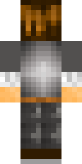 Задняя часть скина игрока Nixsoni