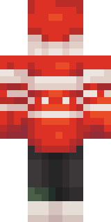 Задняя часть скина игрока NovaElite001