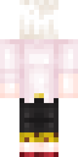 Задняя часть скина игрока NweToN