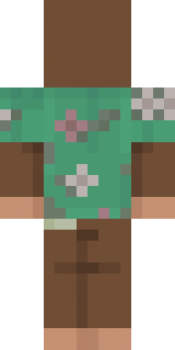 Задняя часть скина игрока Okernan