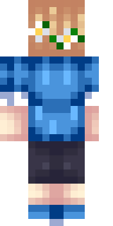 Задняя часть скина игрока Oz1K144