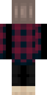 Задняя часть скина игрока PTyTb_