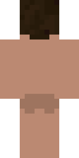 Задняя часть скина игрока Pazhyloy_Zayac