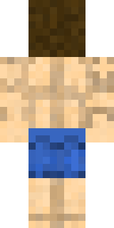 Задняя часть скина игрока Persil