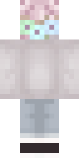 Задняя часть скина игрока PetyxDrobitel