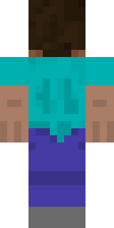 Задняя часть скина игрока PlayMinecraftsYT