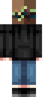 Задняя часть скина игрока Polarix