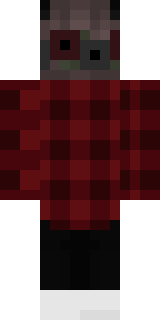 Задняя часть скина игрока Pologoler