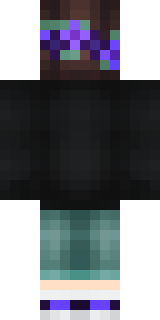 Задняя часть скина игрока Privet100