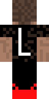 Задняя часть скина игрока ProLeMOn