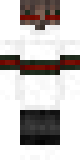 Задняя часть скина игрока Pro_Bro_Nikita