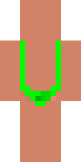 Задняя часть скина игрока Putin_lox228