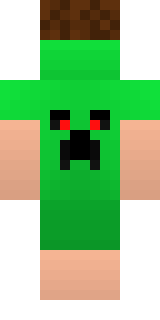 Задняя часть скина игрока RasmaNi