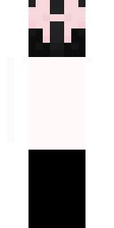 Задняя часть скина игрока RikasHero_