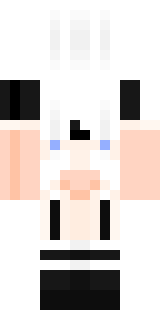 Задняя часть скина игрока Rina_Tokyoo