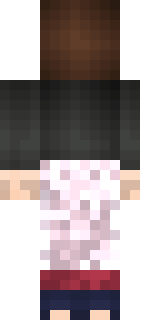 Задняя часть скина игрока Roflan