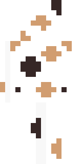 Задняя часть скина игрока RoziCat