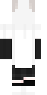 Задняя часть скина игрока Rudger