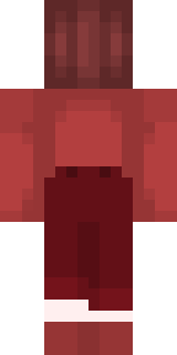 Задняя часть скина игрока SaintBabyKiller