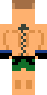 Задняя часть скина игрока SalamAleykum