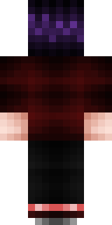 Задняя часть скина игрока Scratch1337