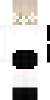 Задняя часть скина игрока Sensationnel