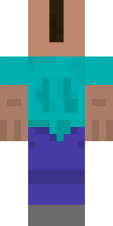 Задняя часть скина игрока ShI_MoN