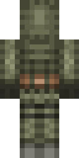 Задняя часть скина игрока Shadow_of_Pidor