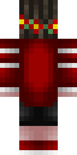 Задняя часть скина игрока Sheik1337