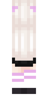 Задняя часть скина игрока Shintori