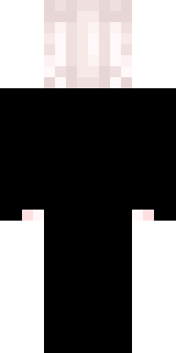 Задняя часть скина игрока Shiphire