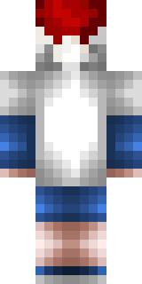 Задняя часть скина игрока SilLoxTypoy