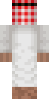 Задняя часть скина игрока SilentWarrior