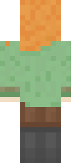 Задняя часть скина игрока SkR1MeR