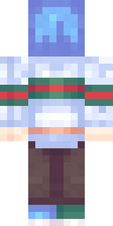 Задняя часть скина игрока SkiperYouTube