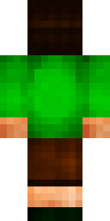 Задняя часть скина игрока Skittelz