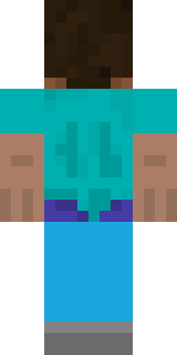 Задняя часть скина игрока Sky_Fox920