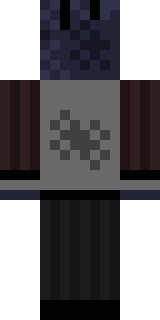 Задняя часть скина игрока Socia1Defect