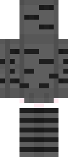 Задняя часть скина игрока SqdHerreria