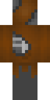 Задняя часть скина игрока SqdTeddynator