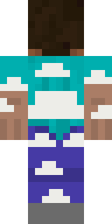 Задняя часть скина игрока Stopmy_katze