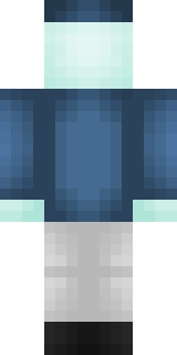 Задняя часть скина игрока Sviniska