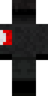 Задняя часть скина игрока SwaaG5