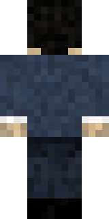 Задняя часть скина игрока Swainz