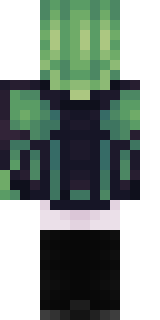 Задняя часть скина игрока TBOU_APUSUN