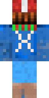 Задняя часть скина игрока Tepon_2