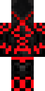 Задняя часть скина игрока Terru_Miner