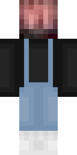 Задняя часть скина игрока TheAlfaNoob