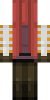 Задняя часть скина игрока TheCoolMaps