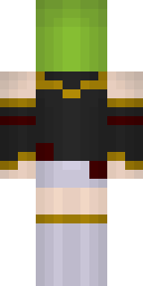 Задняя часть скина игрока TheDarkDragon